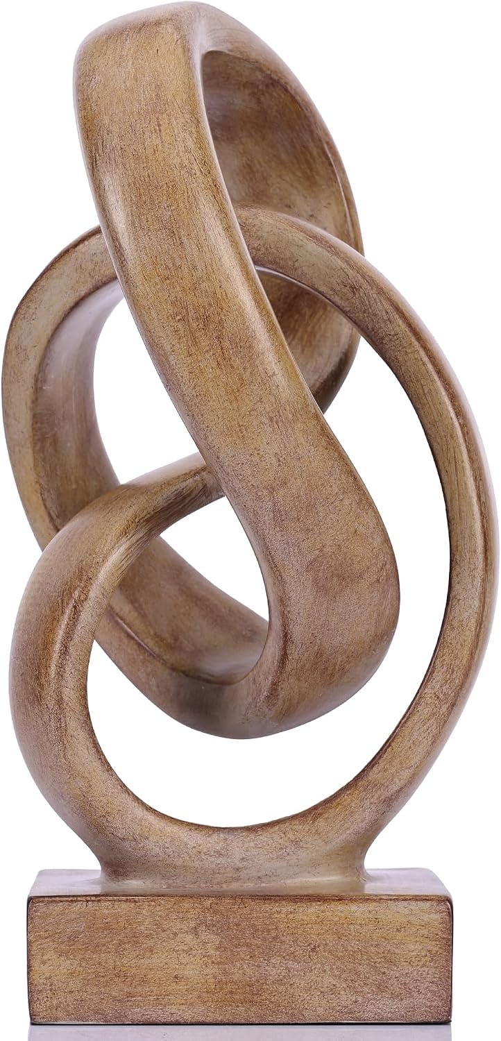 Abstract Intertwined Knot Sculpture - Hình 12